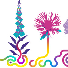 Wildlife at the Western for NHS Lothian Charity